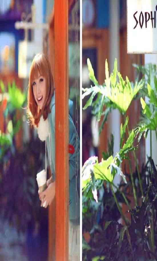 ̨��������� Χ�� �����˰�¶