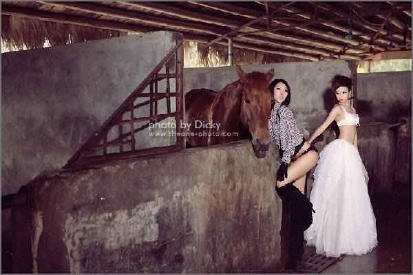 �����ھ���������