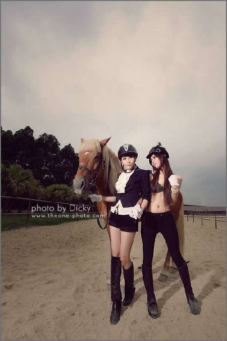 �����ھ���������