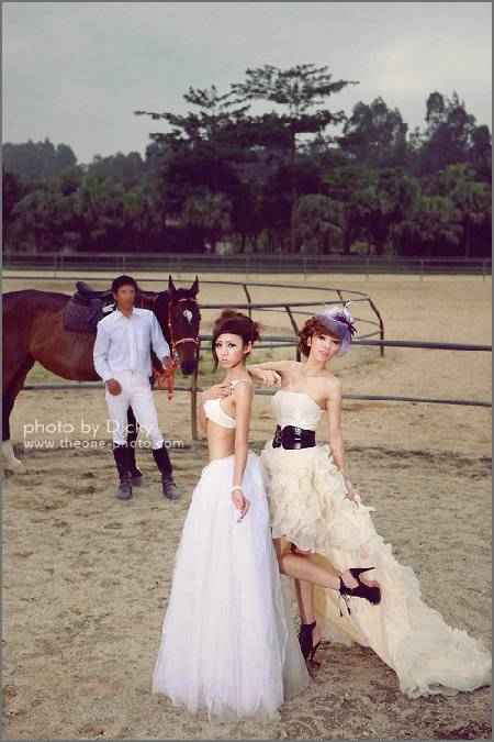 �����ھ���������