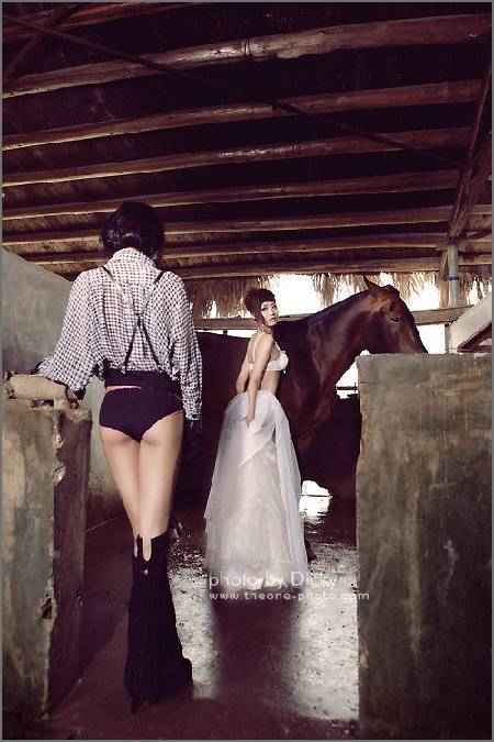 �����ھ���������