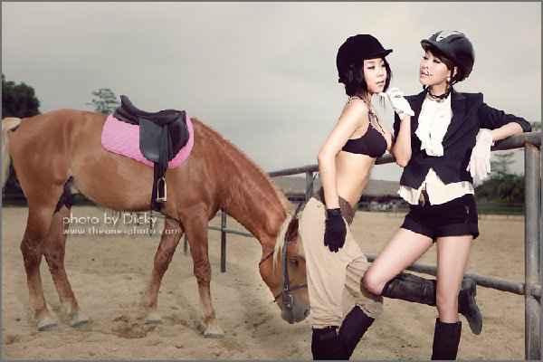 �����ھ���������