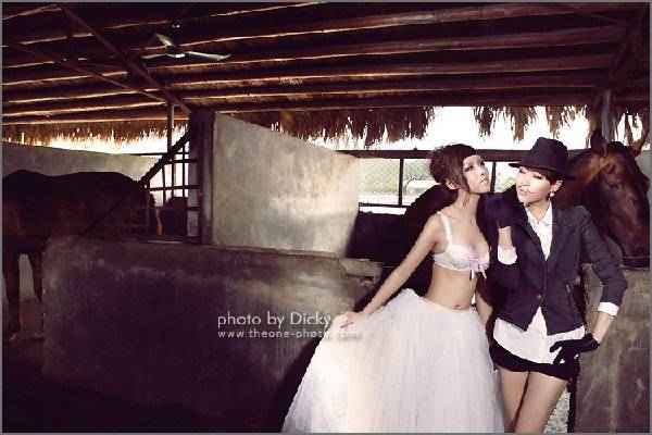 �����ھ���������