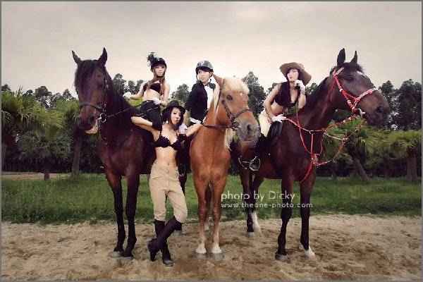 �����ھ���������