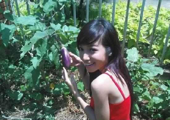 ������Խ���������Ƭ