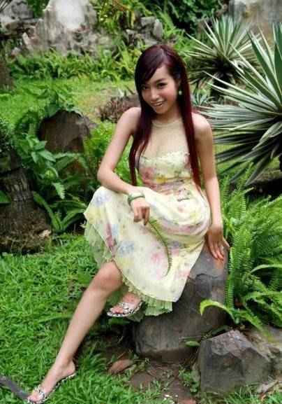 ������Խ���������Ƭ