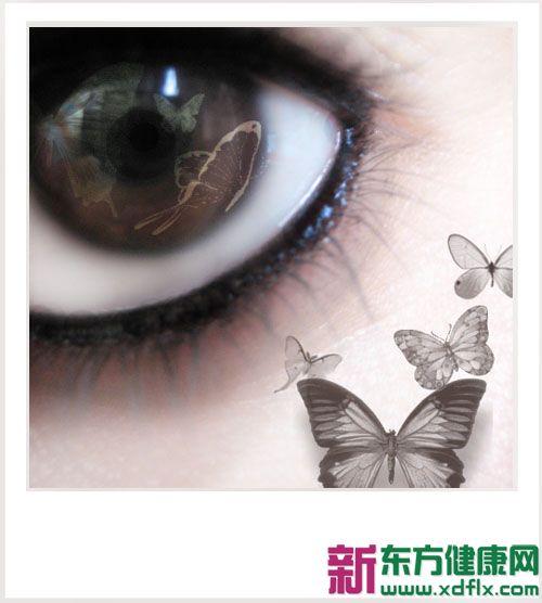 20120204090542977.jpg