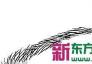 7类眉毛体现你的身体状况