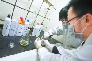 84消毒液加洁厕灵可产生氯气 专家提示不可同时用