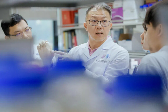 免疫记忆——清华大学医学院终身教授祁海团队背后的故事